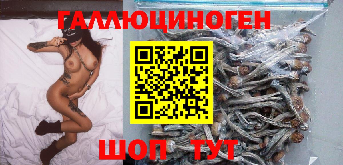 Псилоцибиновые грибы прущие грибы  Вход с VPN  Псилоцибиновые грибы Psilocybine cubensis  Киров 